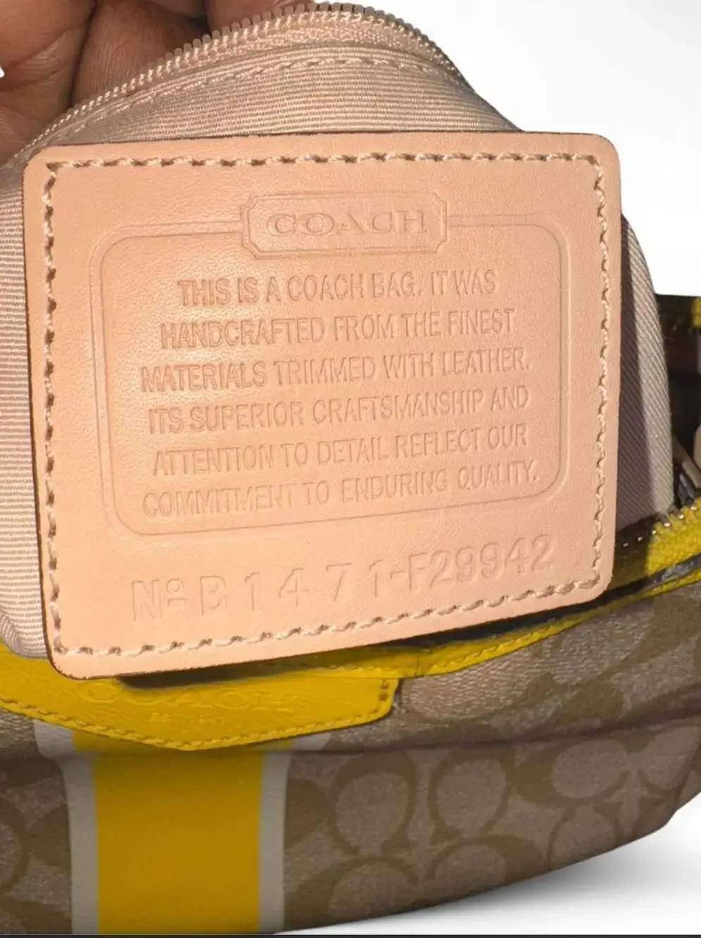 Coach Signature Stripe Eva Small Hobo Bag Beige and Yellow F29942